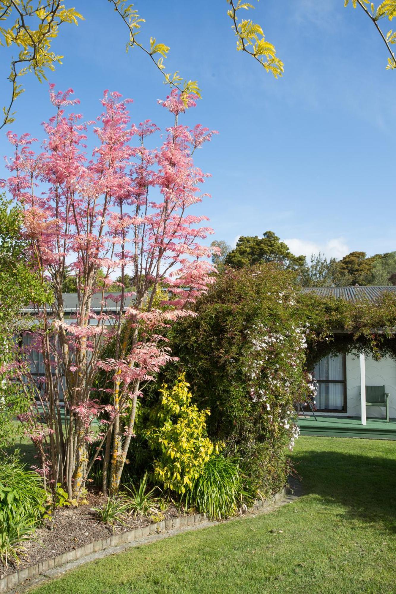 The Park Motel Motueka Eksteriør bilde